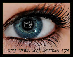 i spy with my sewing eye